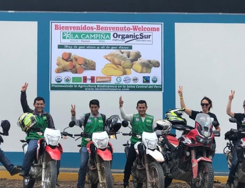 Social Tour Perù 2018