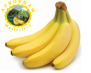 Progetto banane APBOSMAM